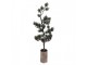 Dekorativní svítící jehličnatý stromek na podstavci Bonsai Tree LED S - 20*17*60 cm / 3*AAA Clayre & Eef