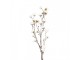 Dekorační větvička třešeň s bílými květy Cherry Blossom - 15*15*115 cm Clayre & Eef