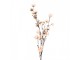 Větvička třešeň s růžovými květy Cherry Blossom - 15*15*115 cm Clayre & Eef