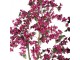 Stromek s růžovými květy Bougainvillea Tree - 80*80*180 cm Clayre & Eef