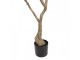 Stromek s růžovými květy Bougainvillea Tree - 80*80*180 cm Clayre & Eef