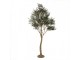 Dekorační strom olivovník s olivami Olea Tree - 140*130*250 cm Clayre & Eef