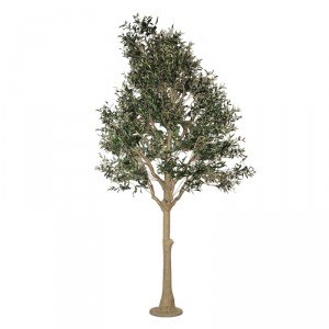 Dekorační strom olivovník s olivami Olea Tree - 170*150*320 cm