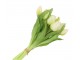 Kytice 7ks bílých realistických tulipánů Tulips - 17*30 cm daan kromhout