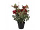 Dekorační květina růže v květináči s červenými květy Rose red - 20*20*55 cm Clayre & Eef