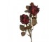 Tmavě červená umělá květina růže - 12*12*70 cm Clayre & Eef