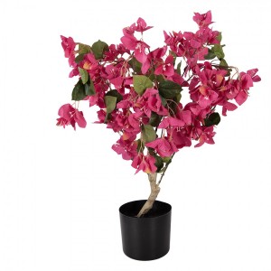 Stromek s růžovými květy Bougainvillea Tree - 30*30*90 cm