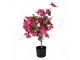 Stromek s růžovými květy Bougainvillea Tree - 30*30*90 cm Clayre & Eef