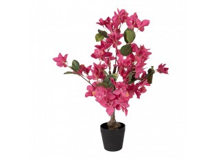 Stromek s růžovými květy Bougainvillea Tree - 25*25*60 cm