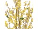Dekorační keřík se žlutými květy zlatice Forsythia - 20*20*125 cm Clayre & Eef