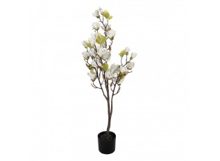 Dekorační stromek Magnolia s bílými květy - 20*15*120 cm
