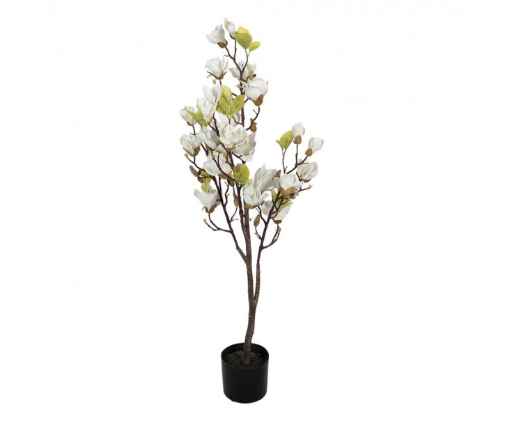 Dekorační stromek Magnolia s bílými květy - 20*15*120 cm Clayre & Eef