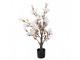 Dekorační stromek Magnolia s narůžovělými květy - 20*20*75 cm Clayre & Eef