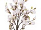 Dekorační stromek Magnolia s narůžovělými květy - 20*20*75 cm Clayre & Eef