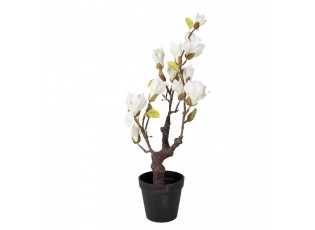 Dekorační stromek Magnolia s bílými květy - 16*14*60 cm