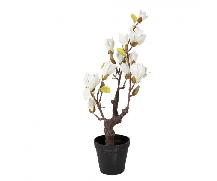 Dekorační stromek Magnolia s bílými květy - 16*14*60 cm Clayre & Eef