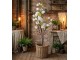 Dekorační stromek Magnolia s bílými květy - 20*15*120 cm Clayre & Eef