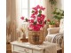 Stromek s růžovými květy Bougainvillea Tree - 25*25*60 cm Clayre & Eef