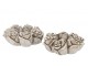 Cementový květináč mísa s růžemi Saint antique Rose - 24*24*9 cm daan kromhout