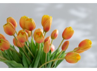 Kytice 7ks oranžových realistických tulipánů - 31cm