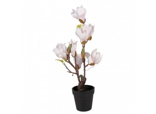 Dekorační stromek Magnolia s narůžovělými květy - 12*12*40 cm