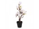 Dekorační stromek Magnolia s narůžovělými květy - 12*12*40 cm Clayre & Eef