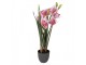 Dekorační umělá květina orchidej - 14*14*55 cm Clayre & Eef
