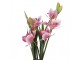 Dekorační umělá květina orchidej - 14*14*55 cm Clayre & Eef