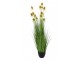 Dekorativní okrasná tráva v květináči Cosmos - 120 cm J-Line by Jolipa