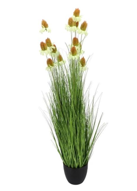 Dekorativní okrasná tráva v květináči Cosmos - 120 cm