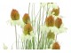 Dekorativní okrasná tráva v květináči Cosmos - 120 cm J-Line by Jolipa