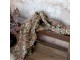 Zelený prošívaný bavlněný přehoz s Paisley vzorem a střapci Aix Quilt - 130*180 cm Chic Antique