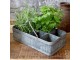 Plechový antik box s rukojetí a 8 přihrádkami Old French - 41*20*10 cm Chic Antique