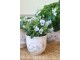 Krémový antik keramický kvetináč s květy Papillon Blossom - Ø 12*10 cm Chic Antique