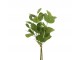 Zelený Eucalyptus - Svazek umělé dekorativní rostliny - 50 cm J-Line by Jolipa