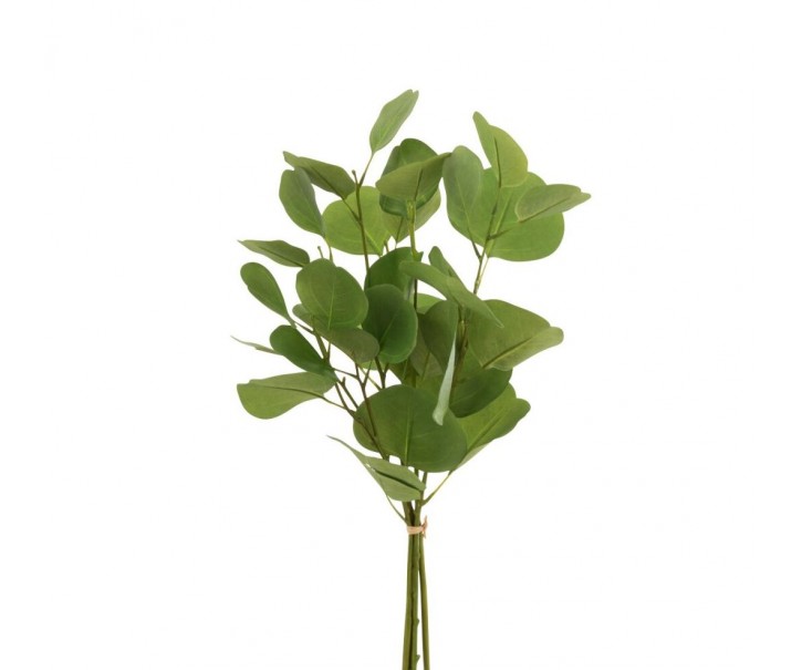 Zelený Eucalyptus - Svazek umělé dekorativní rostliny - 50 cm J-Line by Jolipa