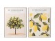 Sada 2 obrazů Citronnier - 45*60*2,5 cm J-Line by Jolipa