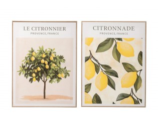 Sada 2 obrazů Citronnier - 45*60*2,5 cm