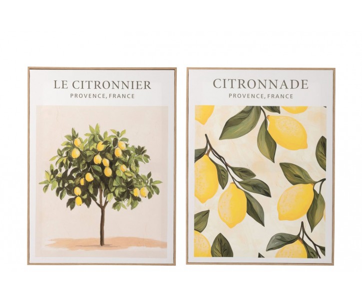 Sada 2 obrazů Citronnier - 45*60*2,5 cm J-Line by Jolipa