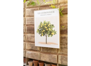 Sada 2 obrazů Citronnier - 45*60*2,5 cm