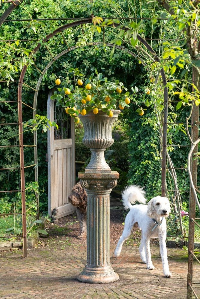 Dekorační umělá větvička s citróny Lemon Branch - 23*8*84 cm J-Line by Jolipa Dekorační umělá větvička s citróny Lemon Branch - 23*8*84 cm J-Line by Jolipa