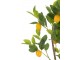 Dekorační umělá rostlina citrónovník v květináči Lemon Tree - 60*48*130 cm J-Line by Jolipa