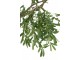 Dekorační strom olivovník Olea Tree - 295*295*220 cm J-Line by Jolipa