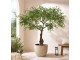 Dekorační strom olivovník Olea Tree - 295*295*220 cm J-Line by Jolipa