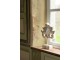 Béžová antik dekorace Fleur-De-Lis Antiqou French - 36*11*52 cm J-Line by Jolipa