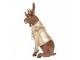 Vánoční figurka Sob ve slavnostní uniformě a korunce - 36*40*63 cm Clayre & Eef