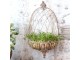 Kovový květináč na zeď Flower Antique Mocca – 34*18*65 cm Chic Antique