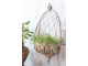 Kovový květináč na zeď Flower Antique Mocca – 34*18*65 cm Chic Antique