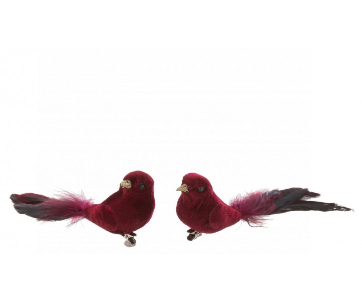 Sada 2 kousků sametových klipů Bird v červené barvě s péřovým zdobením – 16*5*5 cm J-Line by Jolipa