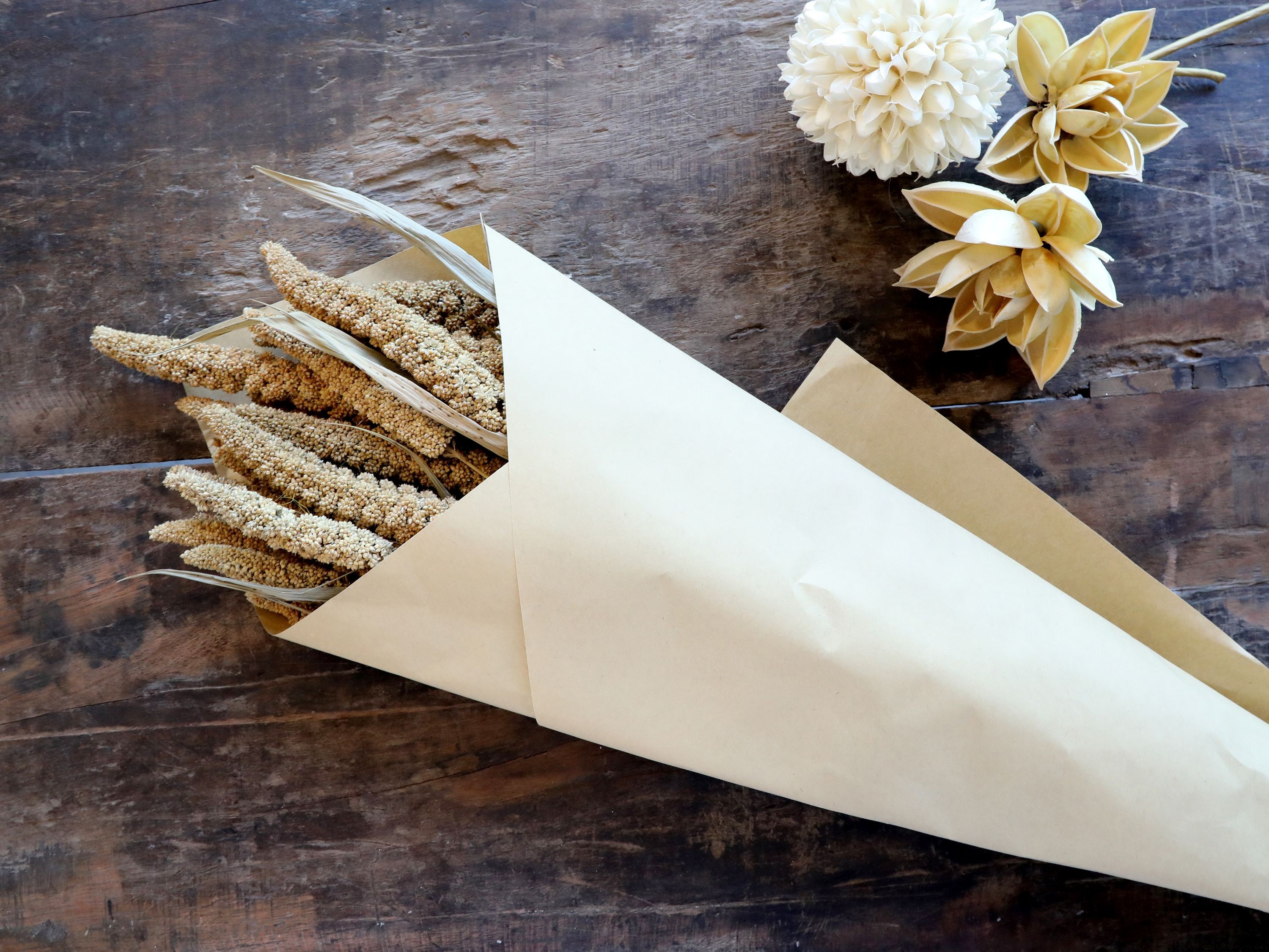 Sada sušených hnědých květin Fleur Seterea – 75 cm Chic Antique Sada sušených hnědých květin Fleur Seterea – 75 cm Chic Antique